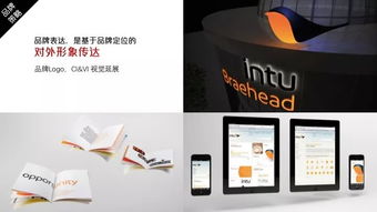 廣告策劃與設(shè)計 創(chuàng)意與策略的完美融合